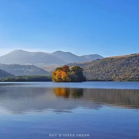 Apartment T2 Renove Et Climatise Chez Cathy *