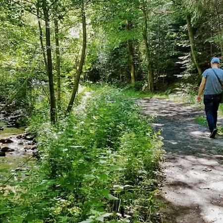 T2 Renove Et Climatise Chez Cathy Apartment