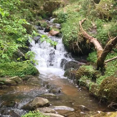 T2 Renove Et Climatise Chez Cathy Apartment