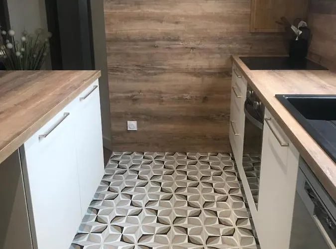 Apartment T2 Renove Et Climatise Chez Cathy