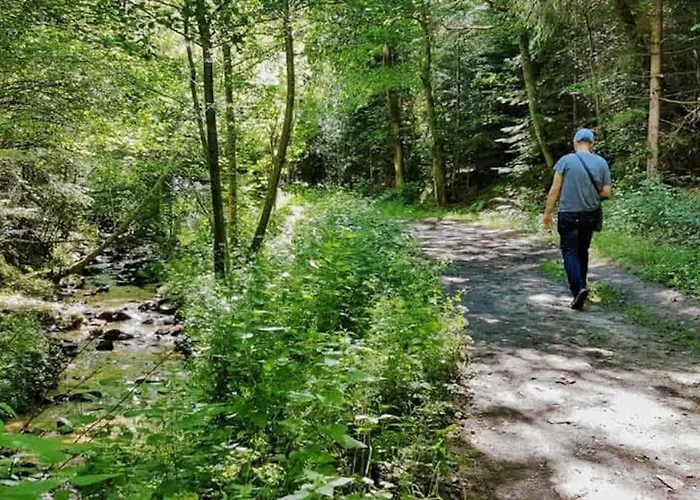 T2 Renove Et Climatise Chez Cathy Apartment